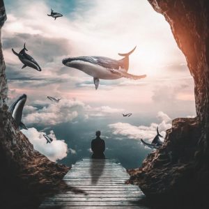 ТРИ КИТА ........ Три кита, на которых стоит человеческое ничтожество, корень всех его бед и болезней. Кармический и родовой груз, внешнее негативное воздействие, собственные неправильные мысли и поступки. Космоэнергетика – это не панацея для страждущих, полностью помогает она не всем, а тем, кто этого достоин, тем, кто на определенном этапе обучения сам сможет изменить себя. Стать хозяином своей жизни и помочь другим. Эти знания работают в полную мощь только тогда, когда стоит достойная цель, когда ты проводишь их в мир проявляя чудо. Исцеление или что еще, не важно. Еще одно чудо мироздания.