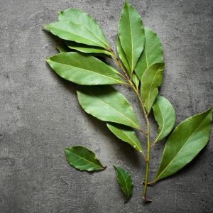 ОБРЯДЫ НА ЛАВРОВЫЙ ЛИСТ Лавровый лист есть в каждом доме, поэтому вам не составит труда провести любой ритуал из приведенных ниже. Проводят 27 числа любого месяца.⠀
