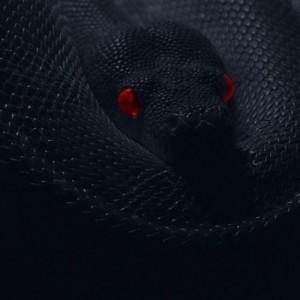 РИТУАЛ « НАКАЗАНИЕ ТЕХ, КТО ПОДЛО СЕБЯ ПОВЁЛ » Ритуал предназначен для наказания людей, которые поступаю не честным, подлым образом по отношению к ведьме. Обманули, не оплатили услуги, сказали не правду. Порча наводит сыпь, крапивницу зуд, если отнести фото на могилу, то и зловоние начинается, человек ругается со всеми, волосы выпадают, ногти ломаются. Снять порчу возможно, если извиниться за поступок и согласиться на условия ведьмы.
