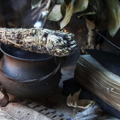 СЕВЕРНЫЕ РИТУАЛЫ С ТРАВАМИ Славянскую магию видели не многие, да слышали о ней почти все. И ныне в каждой местности есть свои рассказы о знахарках да ворожеях, что проводят ритуалы с травами да настоящие чудеса творят. Можно ли самому научиться этой ворожбе?