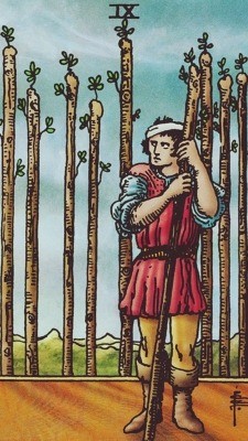 9 ЖЕЗЛОВ