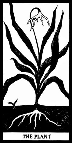 ГАЛЕРЕЯ КОЛОДЫ ТАРО "ФАНТОД" - EDWARD GOREY'S FANTOD PACK 10 РАСТЕНИЕ