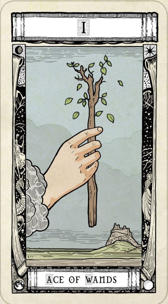 Miroslav Ulbricht Tarot - ГАЛЕРЕЯ КАРТ ТАРО Miroslav Ulbricht Tarot - ГАЛЕРЕЯ КАРТ ТАРО
СТАРШИЕ АРКАНЫ ЖЕЗЛЫ ПЕНТАКЛИ КУБКИ МЕЧИ РУБАШКА ТАРО